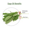 SAGE Oil 100% Natural Pure Undiluted Uncut Essential Oil 15ml