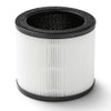 Sunbeam Fresh Protect Replacement Filter for SAP0900WH