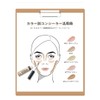 The Saem Cover Perfection Tip Concealer, Peach Beige