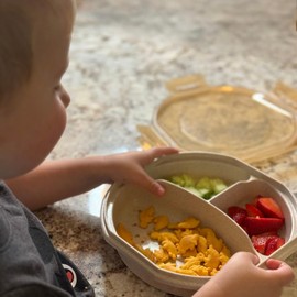 C + B Supplies Wheat Straw Bento Plate Set, 7.87 in x 7.87 in x 1.89 in, Beige, Champagne/Green, 51147