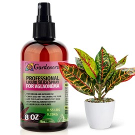 𝐒𝐔𝐏𝐄𝐑𝐈𝐎𝐑 Liquid Silica Boost Fertilizer and Supplement Spray for AGLAONEMA Plants – Pre-Mixed, Ready-to-Use Liquid Silicon Plant Superfood Mist for Indoor & Outdoor Plants – 8oz