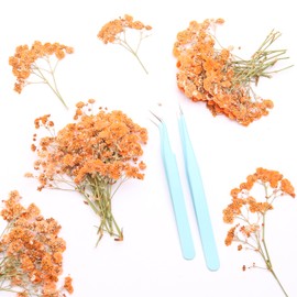 LYFORTZY Orange 70 Pcs Mini Babies Breath Pressed Flower for Resin Art / Invitations Card Decor/Bookmark Jewelry DIY Craft, Real Dried Pressed Baby Breath Flowers Bulk with 2 Tweezers.