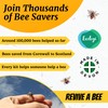 Revive a Bee Gold Bee Revival Kit, Keyring with Sugar