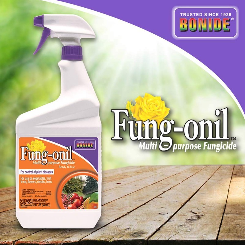 Bonide Fung-onil Multi-Purpose Fungicide, 32 oz Ready-to-Use Spray for Plant