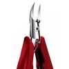 Ingrown Toenail Clipper Nail Pliers Special Nail Curve Pedicure, 1 Piece, Eagle Beak Ingrown Toenail Pliers / 내성발톱 깎이 손톱 펜치 특수 네일 곡선 페디큐어, 1개, 독수리 부리 내성발톱 펜치