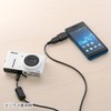 サンワサプライ(Sanwa Supply) USBホスト変換アダプタ(microUSB Bコネクタ オスーUSB Aコネクタ メス) スマホ・タブレット対応 AD-USB19BK