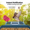Bird Feeder with Camera,AI Identify Birds Species,Smart Birds Camera with