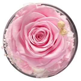 Sunia Memorial Dog Gift - Glass Angel & Dog Figurine with Real Preserved Rose, Sympathy Gifts for,Mothers Day Christmas Birthday Gift for Women Mom (Pink)