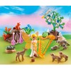 Playmobil 5451 Music Fairy with Woodland Creatures