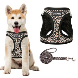 PINA Dog Harness for Small Dogs No Pull, Small Dog Harness and Leash Set, No Choke Breathable Mesh Dog Vest Harness, Lightweight Adjustable Small Medium Dog Harness - Easy to Put On and Take Off