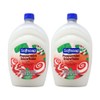 Softsoap 2-Pack Softsoap Limited Edition Moisturizing Hand Soap Peppermint Snowflake