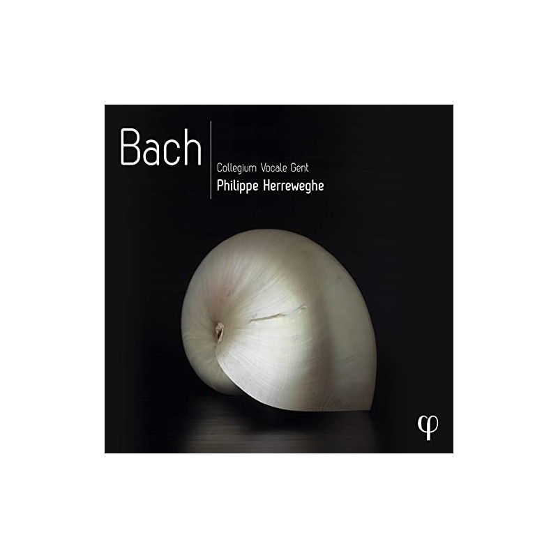 Bach