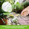 NEISRAI Crack Weeder Garden Crevice Weeding Tool Wood Handle Driveway
