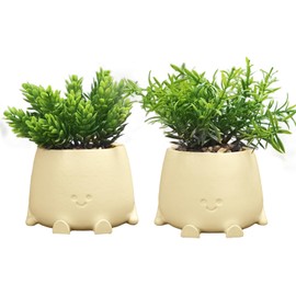 Small Fake Plants Artificial Potted - 2 Packs Smiley Face Faux Plant Planter, Artificial Plants Indoor Decor, Mini Cute Fake Pots Plant for Shelf Desk Bathroom Coffee Table Kitchen foffice Home Decor