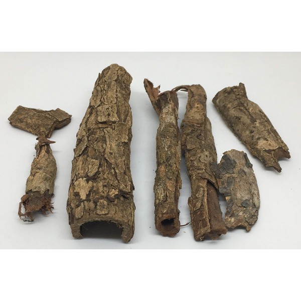 Premium Catappa Bark 50 Grams Indian Almond Bark Rolls Flats