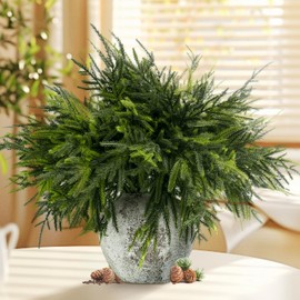 BYDA 16pcs 18.5 inches Norfolk Pine Branches - Artificial Christmas Greenery Branches Faux Greenery Stems Fake Cedar Pine Pick Vase DIY Crafts Garland Christmas Indoor Outdoor Home Decor (16pcs)