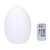 Spetebo LED Light Ball Multi Colour with Remote Control –