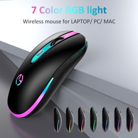 TaIYanG Wireless Mouse, 2.4G Portable Optical Quiet Cute Mouse with USB Receiver and Type C Adapter, 3 Adjustable DPI LED Wireless Mouse for Laptop, Computer, PC, MacBook, Desktop