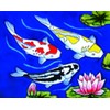 Koi Fish - Decorative Ceramic Art Tile - 11"x14" En