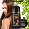 GDRFNP Black Hair Dye Shampoo 3 in 1 for Gray