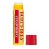 Burt’s Bees 100% Natural Moisturizing Lip Balm, Strawberry - 1