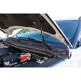 Redline Tuning 21-11032-02 Hood QuickLIFT PLUS Bolt in Struts Compatible with Ford Explorer 2011-2019 (All Black Components, 4 year warranty)