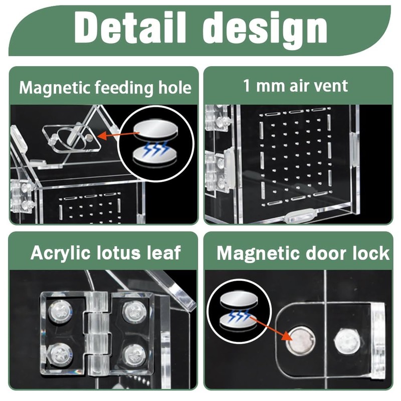 ZUIFIANLE Acrylic Jumping Spider Enclosure - Versatile Reptile Enclosure with
