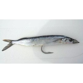 Extreme Offshore Ballyhoo Pin Rig Marlin Wahoo Tuna Dorado Mahi Dolphin 1/2 oz Sinker with Leader - 2 Pack 7/0