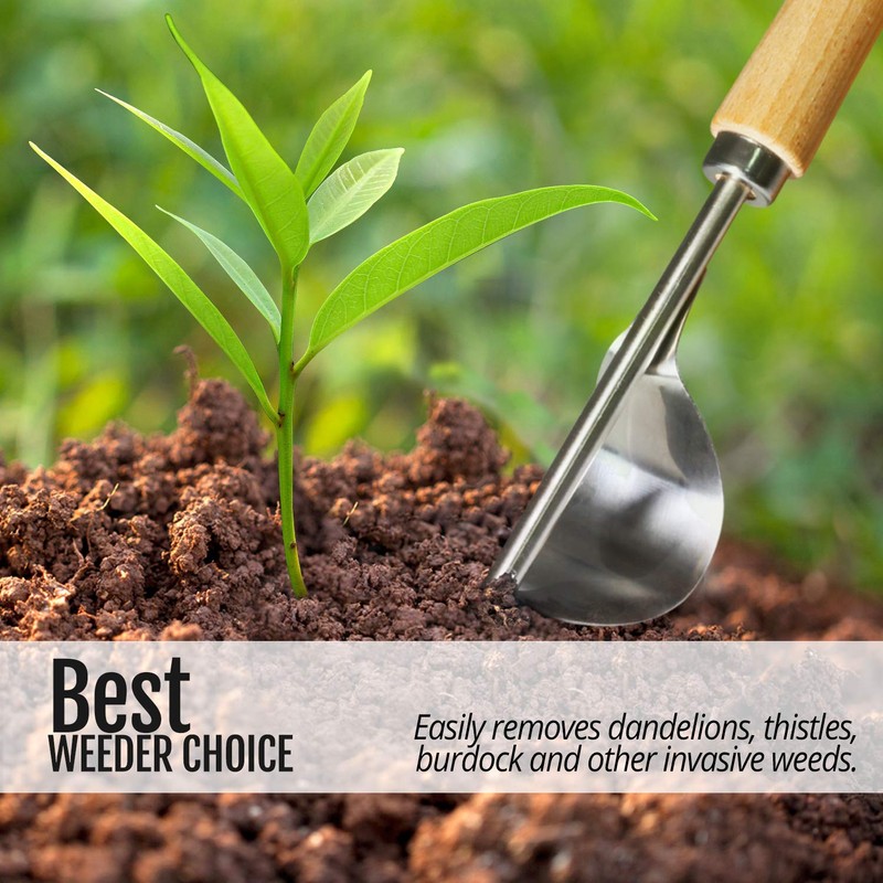Betus Manual Hand Weeder - Bend-Proof Leverage Base for Super