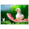 Chickens in the Garden Wall Calendar 2025 DIN A4 Landscape