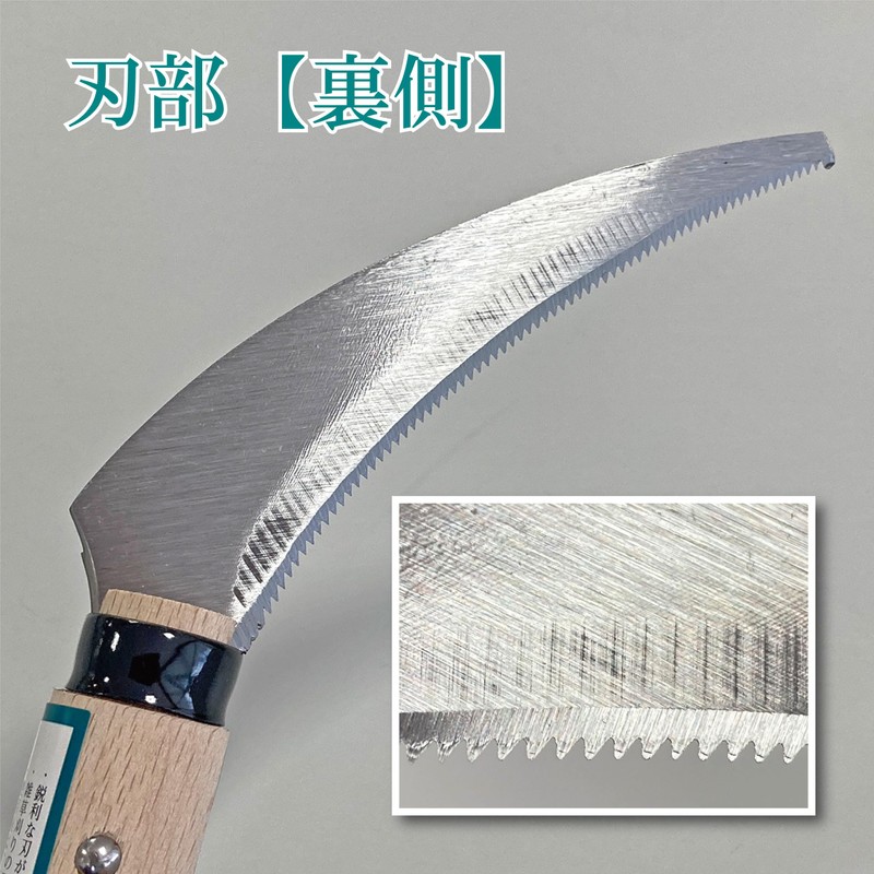 キンボシ(Kinboshi) 金星 ゴールデンスター フレッシュ鋸鎌 1574