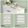Brinlawb Shoe Cabinet with 2 Flip Drawers, Shoe Storage Cabinet