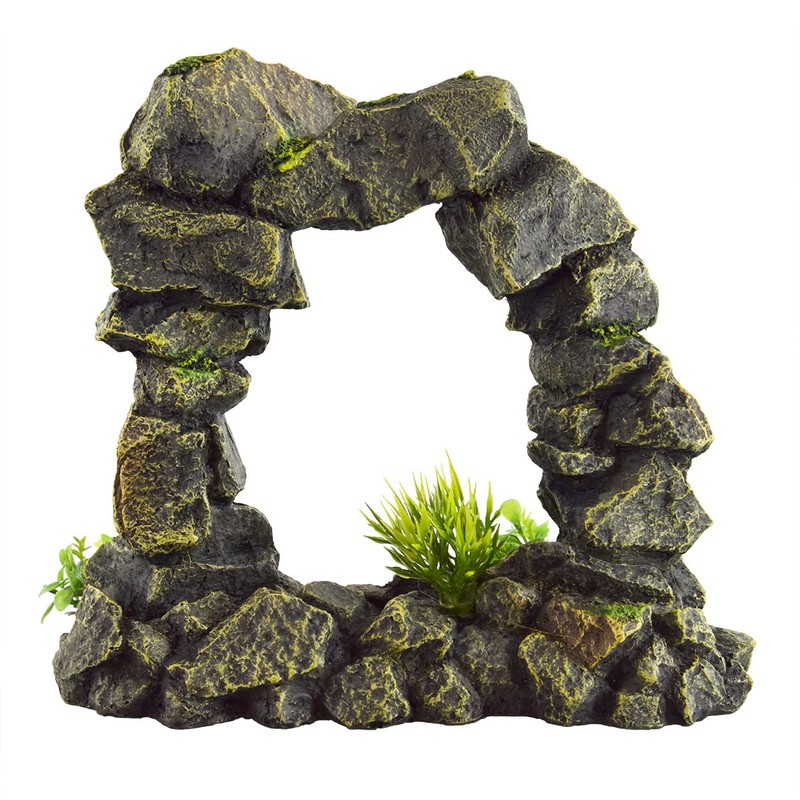 Underwater Treasures Boulder Arch