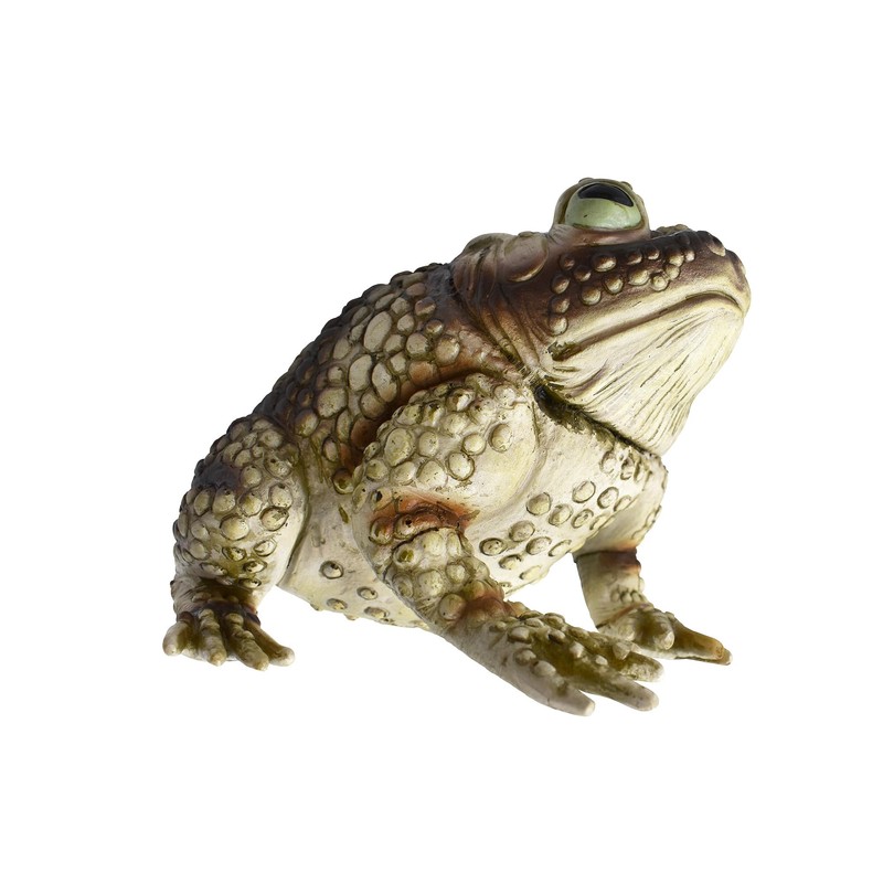 Nicky Bigs Novelties Giant Rubber Toad Prop Decoration, Multi, 25cm