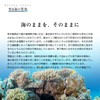Paradise Plan Snow Salt Miyakojima Sea Blessings 12.7 oz (360