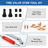 Tyre Valve Remover, 43 Pieces, Tyre Valve Core Tool Set