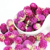 Goofoo Dried Gomphrena Globosa Buds Flower Herbal Loose Leaf Tea,
