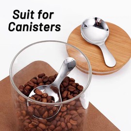 5 Pack Short Handle Scoops - Silver Mini Scoops for Canisters - Stainless Steel Small Coffee Candy Scoop for Salt Sugar Tea Dessert（Silver）
