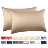 100% Cotton Standard Pillowcases Set of 2, Deep Dream 600