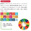 Light SDGs Badges (2-Piece Set) Genuine UN Cloisonne 1.0 inch