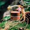 I'M From [I'M FROM] Ginseng Eye Cream 30g, Red Ginseng