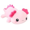 SQEQE Weighted Plush Toy Axolotl Stuffed Animals Cute Plush Pillow