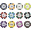Gamers Lounge Poker Knights 13.5-gram Poker Chips (100-pack) - Casino