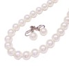 [You and My Jewelry Box] Pearl Necklace, Pearl Shells Pearl