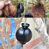 Ianulus Plant Rooting Ball, 4 Pieces Plant Root Growing Box,