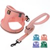 BELLA & PAL No Pull Small Dog Harness with Leash