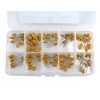 BGTXINGI 100pcs 10 Values Tantalum Capacitors 16V 1uf - 100uF