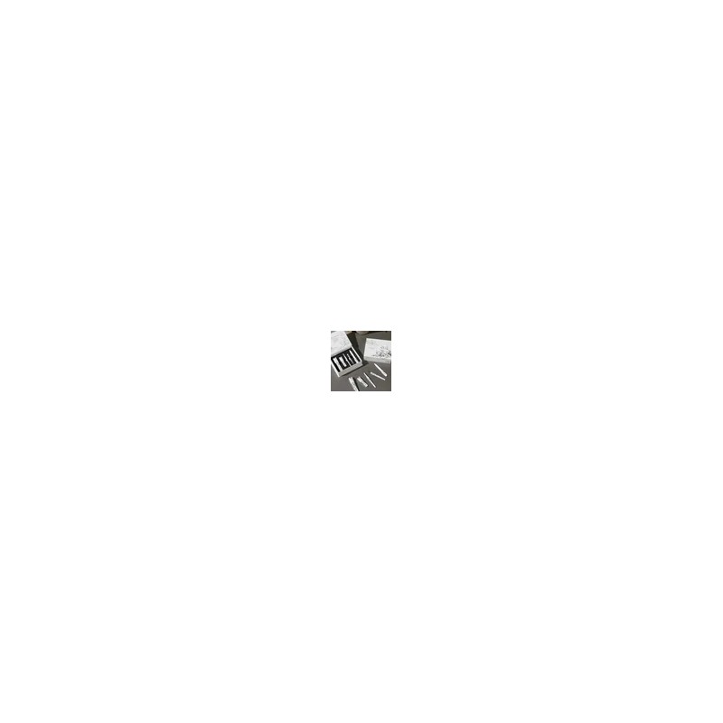 Lip Nail Tweezers Organizer Clip Stainless Portable for daily makeup