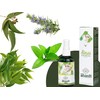 Shanti Purity Massage Blend Essential Oil Sinus Relief Pure Natural
