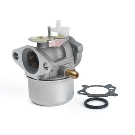 Beehive Filter Briggs & Stratton 799869 792253 Replacement Carburetor with Gasket